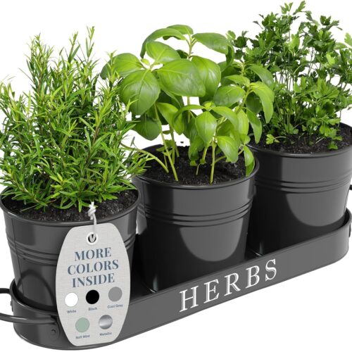 Designs Indoor Herb Garden Planter Set with Tray, Metal Windowsill Plant Pots with Drainage for Outdoor or Indoor Plants, Set/3 (Black)