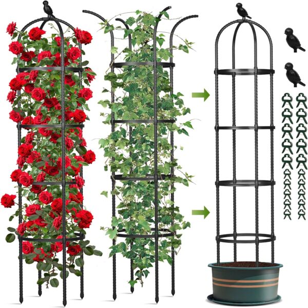 Trellis for Climbing Plants Outdoor, 6.2 FT Plant Support for Tomato, Rose, Flowers, Grape, Pea, Cucumber, Rustproof Plastic Coated Metal Plant Tower for Potted Plants - 1PC Garden Trellis 1