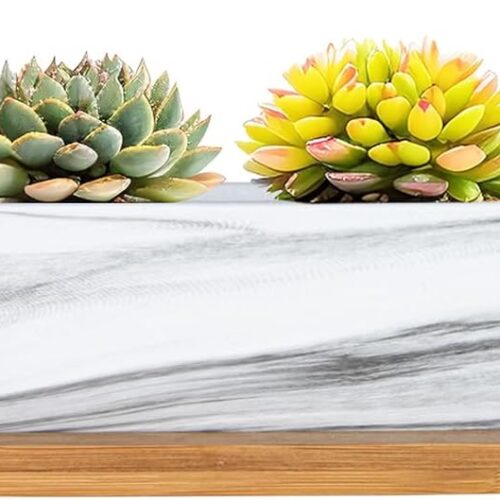 Succulent Pots, 9.8 Inch Ceramic Succulent Planters with Drainage Small Bonsai Pot with Bamboo Tray, Mini Cactus Flower Planter Pot Shallow Rectangular Window Planters for Indoor Plants