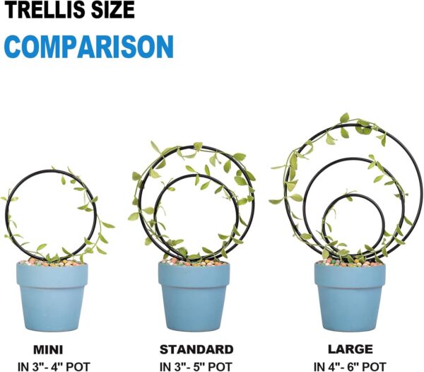 Premium Hoya Trellis - Unique Metal Plant Support for Climbing Plants - Set of 3 Different Sizes - Ideal for Indoor and Potted Plants 2