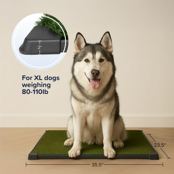 Dog Grass Pad with Tray - 35.5x23.5in Reusable Pee Pads for Dogs - 4-Layer Indoor/Outdoor Artificial Grass Pee Pad - Dog Housebreaking Supplies for Puppy Training by PETMAKER 2
