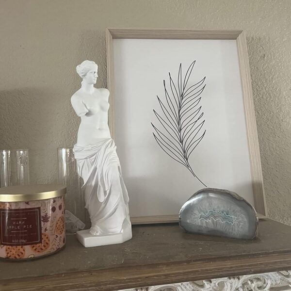 Venus de Milo Statue, Classic Greek Roman Mythology Goddess Aphrodite, 11.5 x 3.15 x 2.16 Inches White Resin Art for Home Office Decor 3