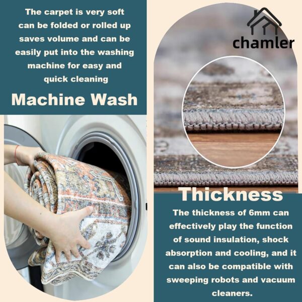 3x5 Area Rug Vintage Washable Thin Tangerine Traditional Floor Cover Foldable Indoor Distressed Non Slip Carpet Floral Print Mat Rugs for Bedroom Living Room Bathroom 4
