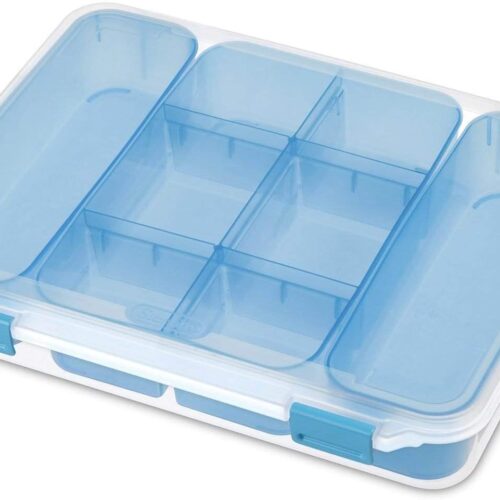 1 STERILITE Divided Case, Multicolor
