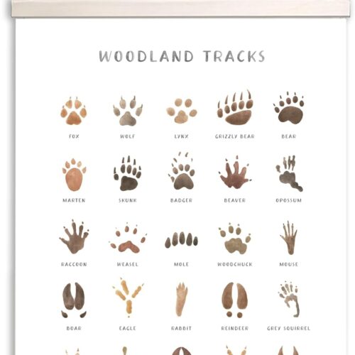 WF10902MAX_1 AWISBI Woodland Animal Tracks Hanging Poster, Woodland Nursery Decor 16x20 Inch, Animal Tracks Canvas Artwork, Forest Nursery Decor, Boy Nursery Wall Decor For Kids