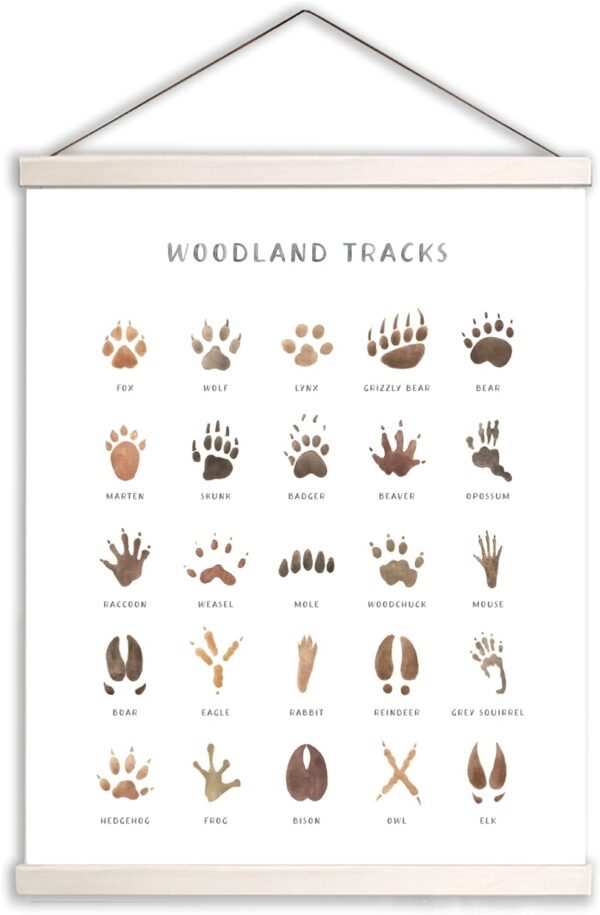 AWISBI Woodland Animal Tracks Hanging Poster, Woodland Nursery Decor 16x20 Inch, Animal Tracks Canvas Artwork, Forest Nursery Decor, Boy Nursery Wall Decor For Kids 1