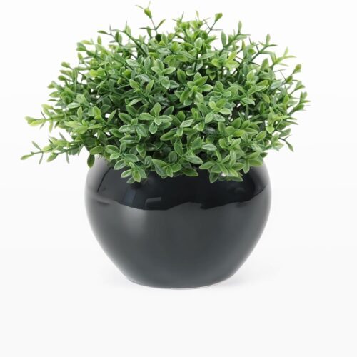 WF3023MAX_1 Velener Fake Sage Plants for Shelf Decor, Small Artificial Succulents Grass Desk Plant for Office Women, Mini Faux Plant Indoor, Masculine Home Decor, Coffee Table Decor in Pot