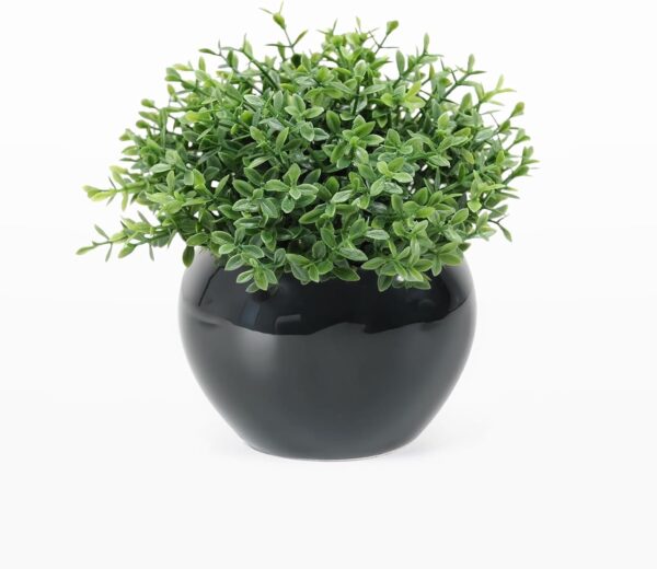Velener Fake Sage Plants for Shelf Decor, Small Artificial Succulents Grass Desk Plant for Office Women, Mini Faux Plant Indoor, Masculine Home Decor, Coffee Table Decor in Pot 1