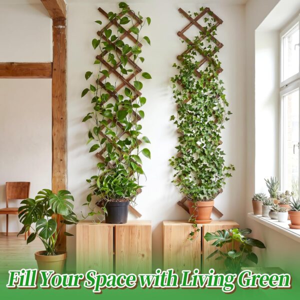 2Packs 13x78in Expandable Wood Wall Trellis for Climbing Plants Outdoor - Lattice Panels for Outside Indoor Balcony Patio Garden, Ideal for Ivy, Vines, Clematis, Roses 4