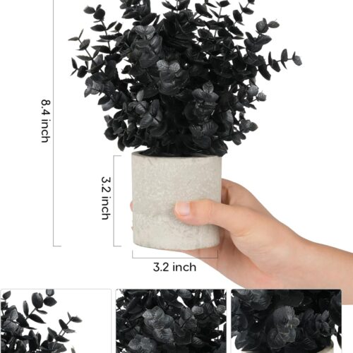 Home Decor Online Store USA