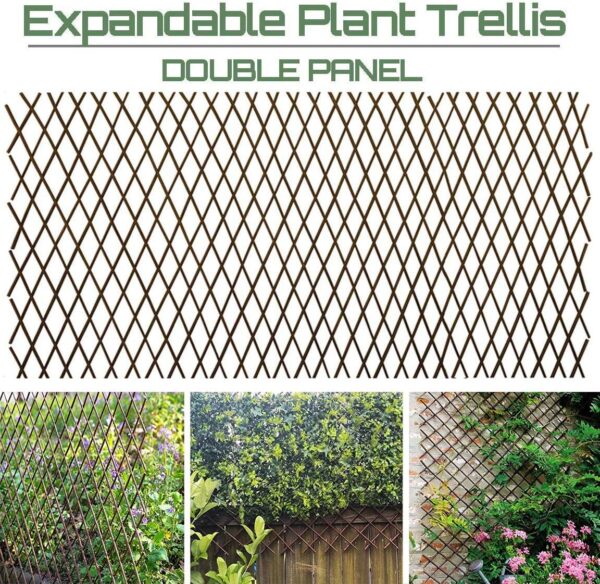 Sumery Nature Willow Trellis Expandable Plant Support Plant Climbing Lattices Trellis Willow Expandable Trellis Fence for Climbing Plants Support 36x92 Inch,Double Panel (2, Willow Wicker Fence) 1