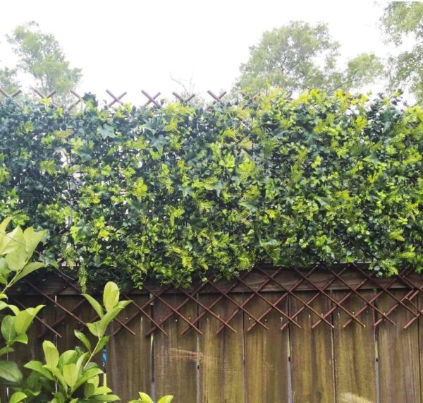 Sumery Nature Willow Trellis Expandable Plant Support Plant Climbing Lattices Trellis Willow Expandable Trellis Fence for Climbing Plants Support 36x92 Inch,Double Panel (2, Willow Wicker Fence) 3