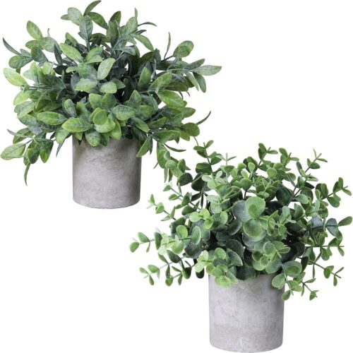 Winlyn Set of 2 Faux Mini Potted Plants Artificial Eucalyptus Boxwood Plants in Pots Fake Greenery Arrangement for Rustic Farmhouse Indoor Table Centerpiece Mantel Shelf Kitchen Office Desk Decor