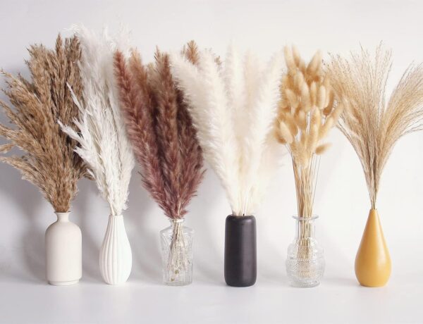 110 PCS Dried Pampas Grass Bouquet, Boho Table Decor, Bunny Tails Dried Flowers, Brown Pompas, White Pampas Grass for Wedding, Home, Rustic Party, Baby Shower Decorations 1