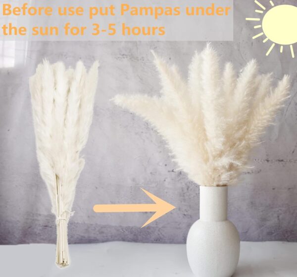 110 PCS Dried Pampas Grass Bouquet, Boho Table Decor, Bunny Tails Dried Flowers, Brown Pompas, White Pampas Grass for Wedding, Home, Rustic Party, Baby Shower Decorations 4