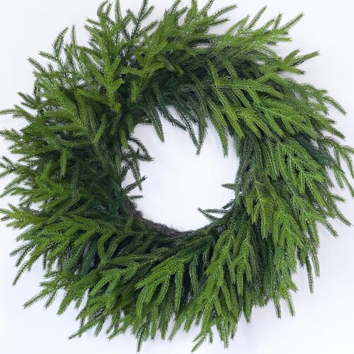 24" Lifelike Touch Artificial Christmas Norfolk Pine Wreath for Front Door
