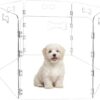 6-Panel Clear Acrylic Freestanding Dog Gate, Folding Pet Barrier