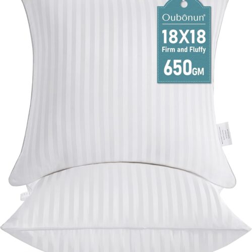 WF8127MAX_1 Oubonun 18 x 18 Throw Pillow Inserts Set of 2