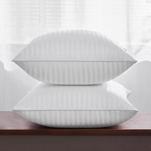 Oubonun 18 x 18 Throw Pillow Inserts Set of 2 2